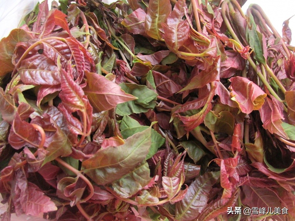 香椿炒什么才好吃啊,香椿怎样做美食才好吃呢