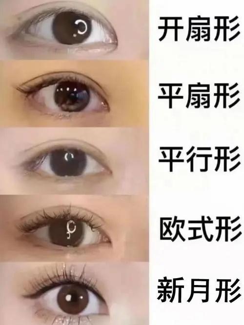 平扇形型双眼皮适合什么脸型,新月型双眼皮适合什么脸型的人