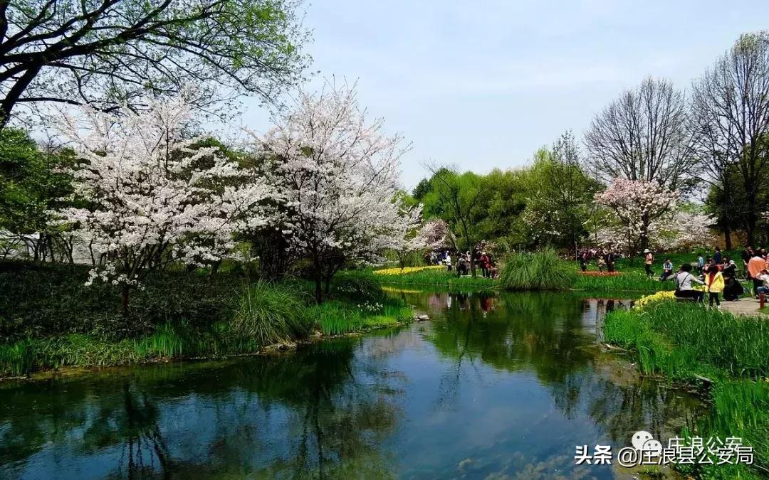 一起领略警营文化,警营文化五月随笔