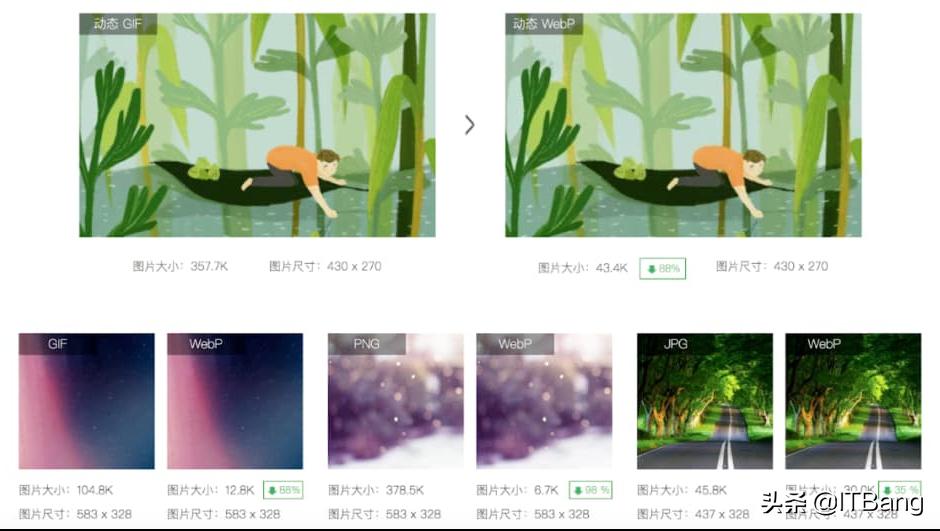 个别网站不显示图片怎么办,网站图片看不了怎么回事