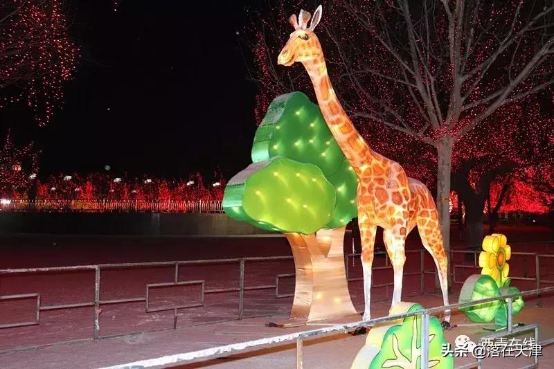 天津元宵节花灯去哪看,天津灯会元宵节津南