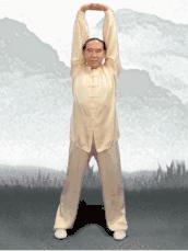 八段锦能调理好正气吗,道家养生太极拳八段锦视频