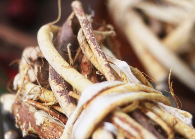 南方野生果树十大珍贵野生树,最具有珍稀药用价值的树