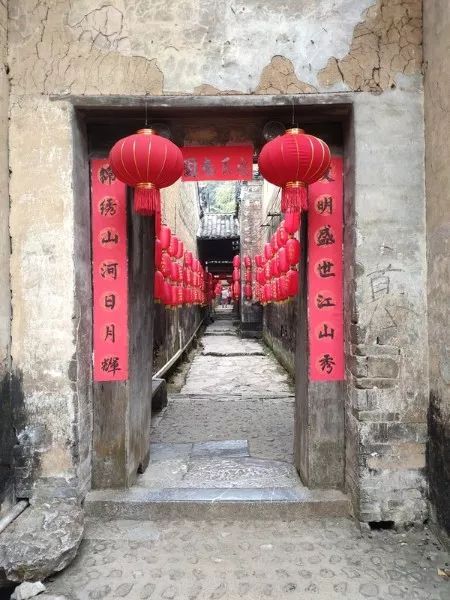 2月份去恭城看柿子,什么时候去恭城看柿子最好