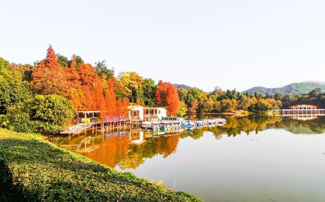 白云山打卡转场,广州白云山爬山攻略怎么预约