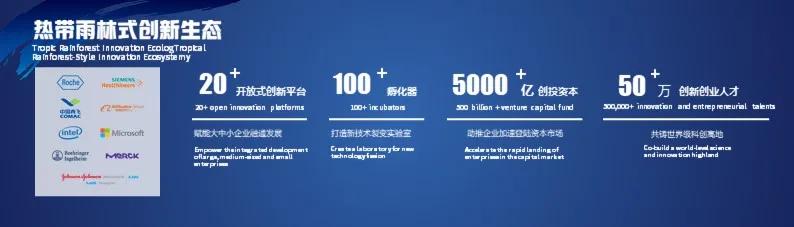 张江掀起浪潮,上海张江生机勃勃