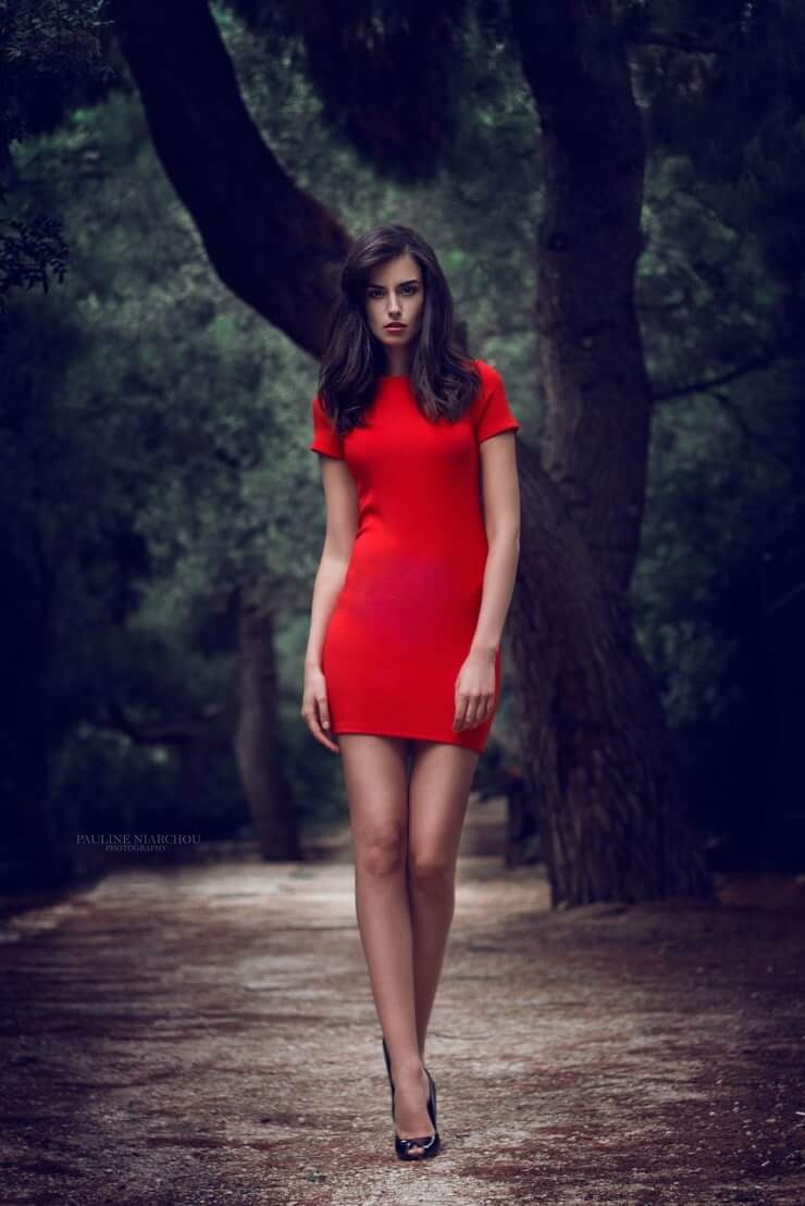 意大利球花莫妮卡,意大利球花莫妮卡贝鲁奇