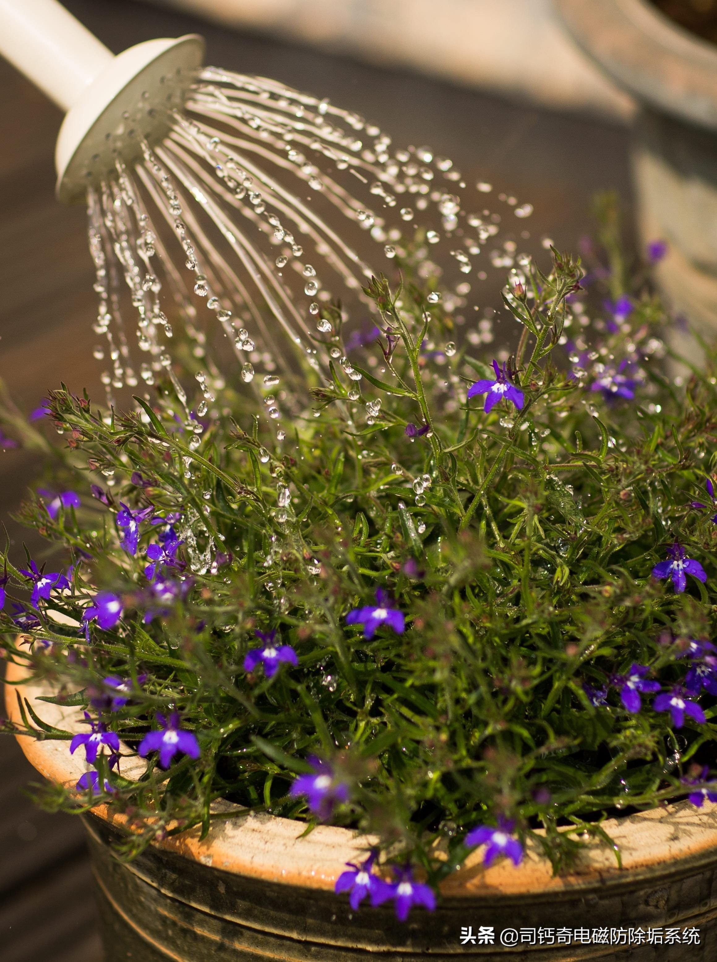 家用电子除垢仪真的有用吗,家用电子除垢仪