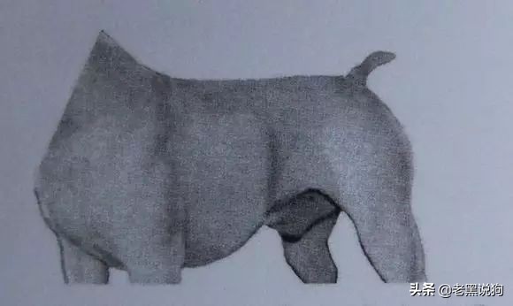 蓝法斗长大后毛色变化,国际认可纯种法斗毛色