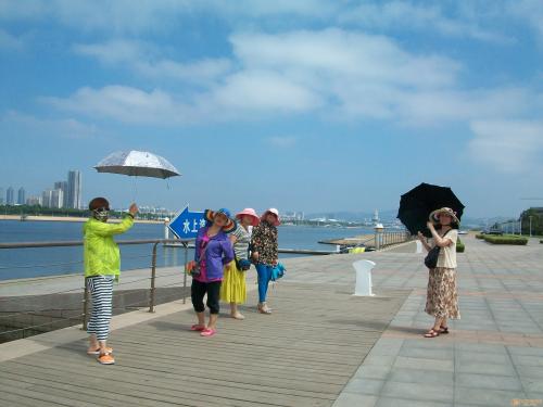 日照绿茶价格表,日照有什么好玩的地方