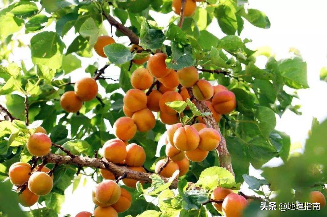 中国新疆昆仑山脉,喀喇昆仑山脉新疆