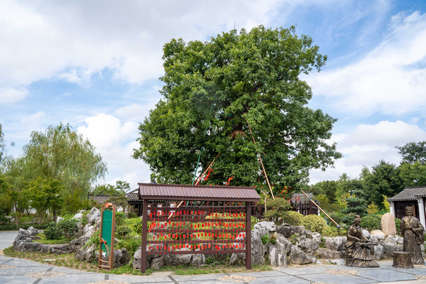 苏州同里古镇亲子游,苏州同里湖二期亲子游