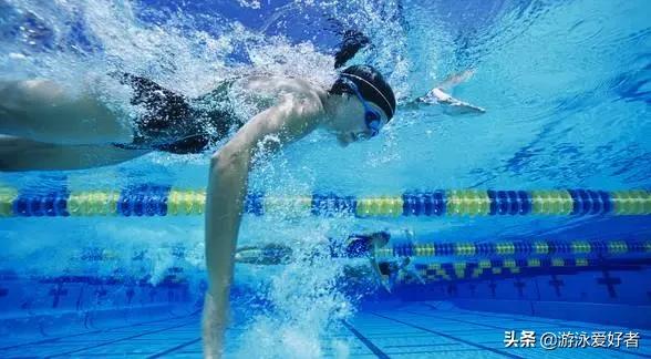 游泳教程快速让你成为游泳健将,游泳如何提高运动能力
