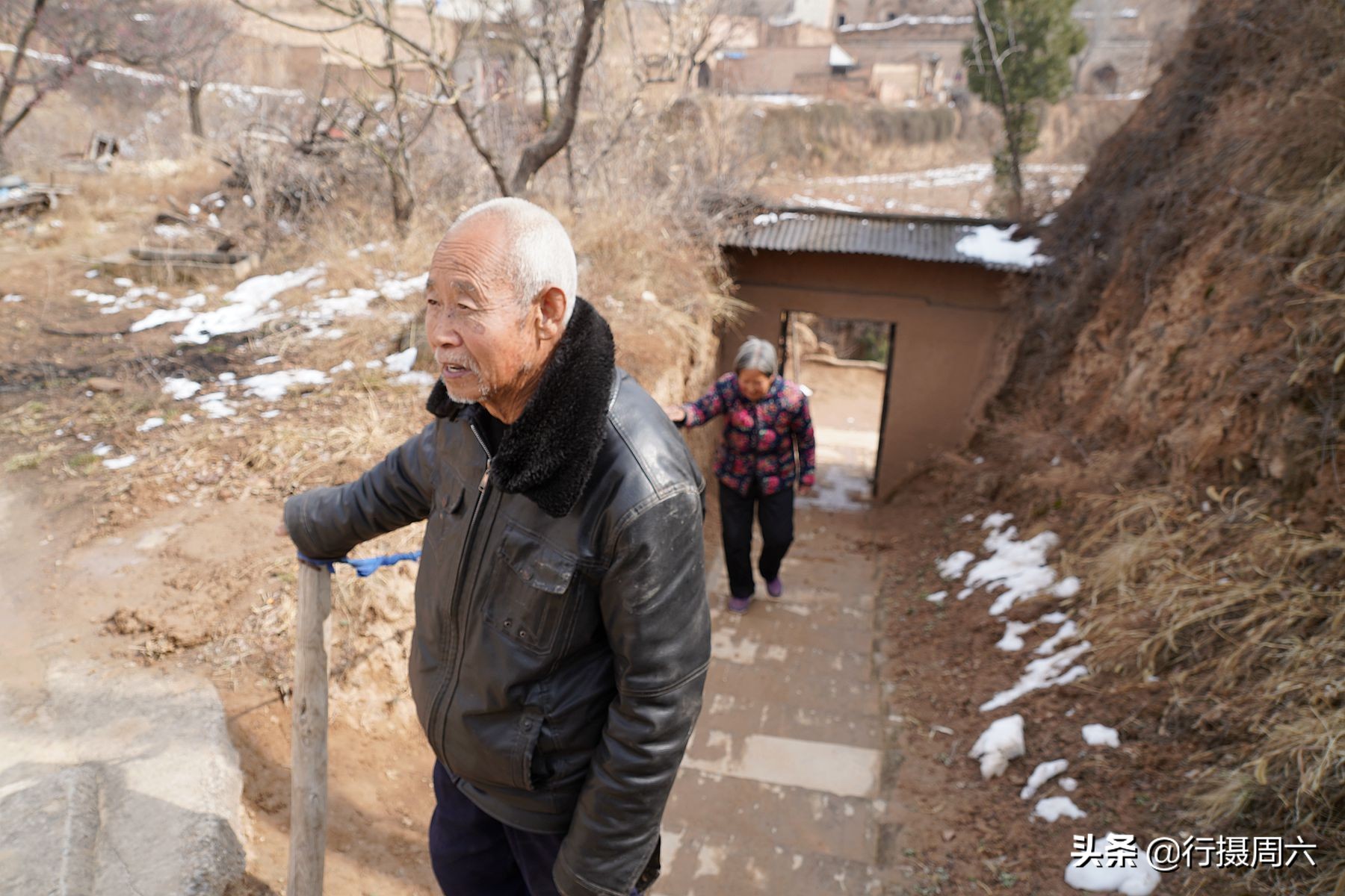 山西8旬大爷把母猪当宠物养,1窝小猪卖14600元,无本生意