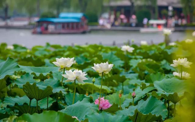 谁说济南没有夜生活细数济南这些高颜值酒吧！这就是我认识的济南