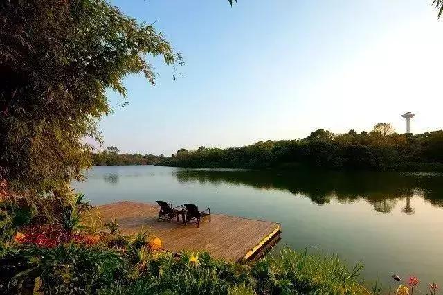 惠州海边无边泳池酒店推荐,惠州网红无边泳池酒店推荐