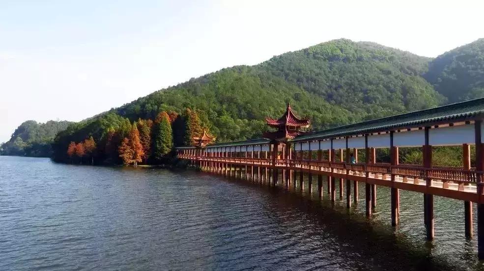 梅汕高铁国庆通车！对不起，我要回梅州了！