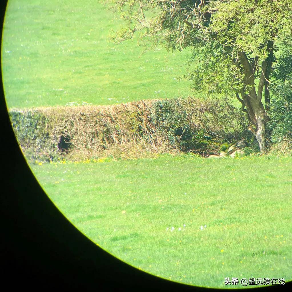 蔡司陆地10x42评测,蔡司胜利10x54ht测评