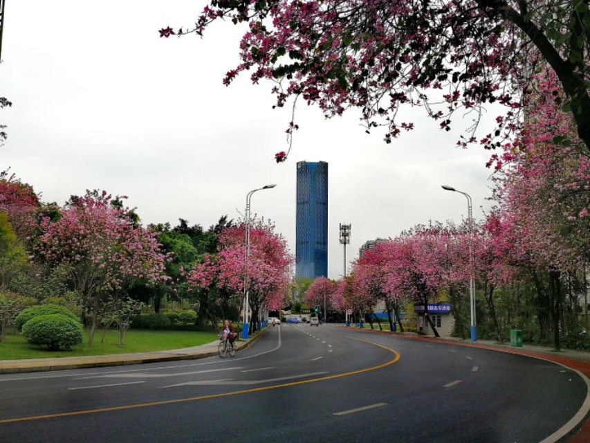 在柳州生活十年,我在柳州10年的感悟