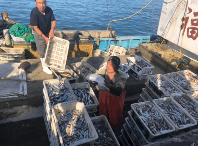 二月份威海海鲜价格,威海海鲜价格实时查询系统