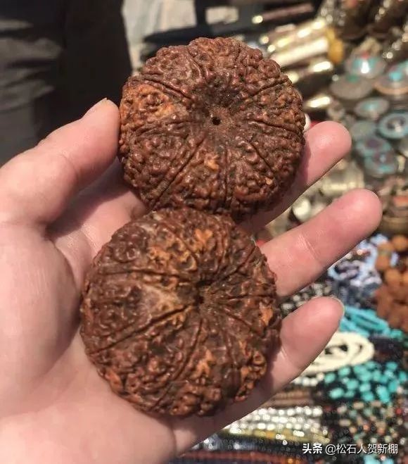 半个手掌大的金刚，一颗值500美元？