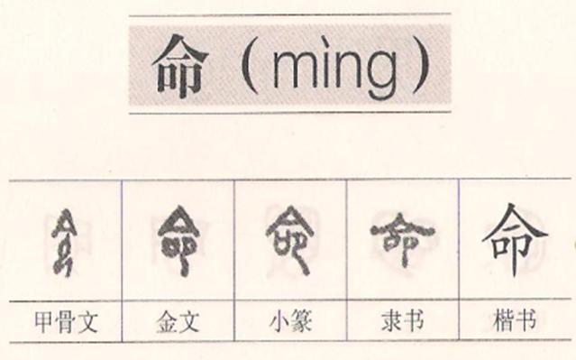 咕咚一年级下册语文必考知识点,小学语文咕咚阅读理解