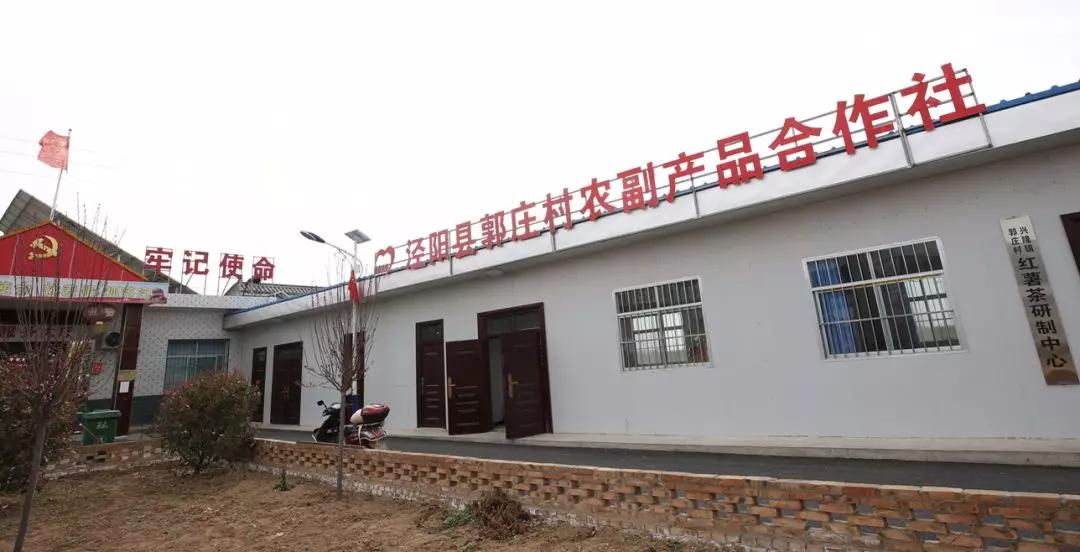 万条“银丝”挂起来！满满的泾阳好味道…