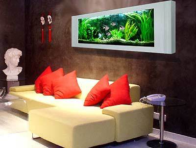 漏财特别凶该怎么办,家中漏财最好的方法