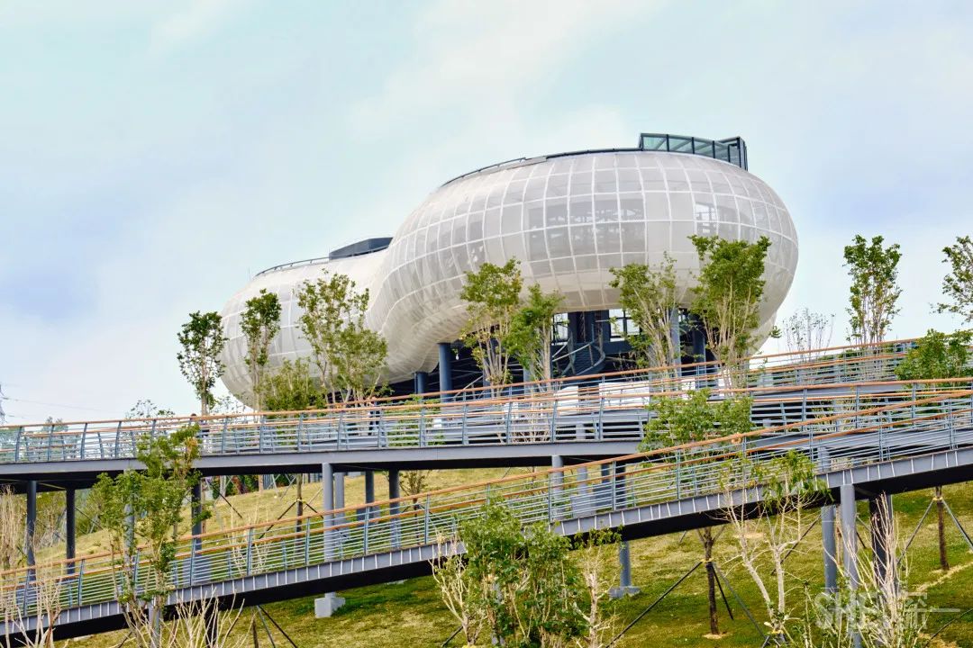 疫情期间免费开放的公园,疫情期间开放的公园有哪些