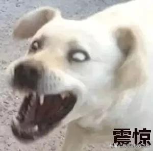 漳平人被诈骗的案件,漳平全部诈骗名单