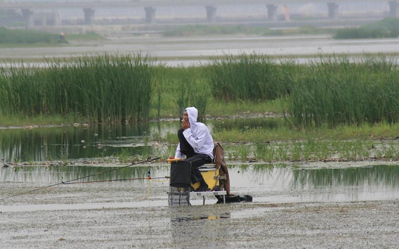 半水调2钓2的正确方法图解,钓鲢鳙半水调漂最佳方法图解