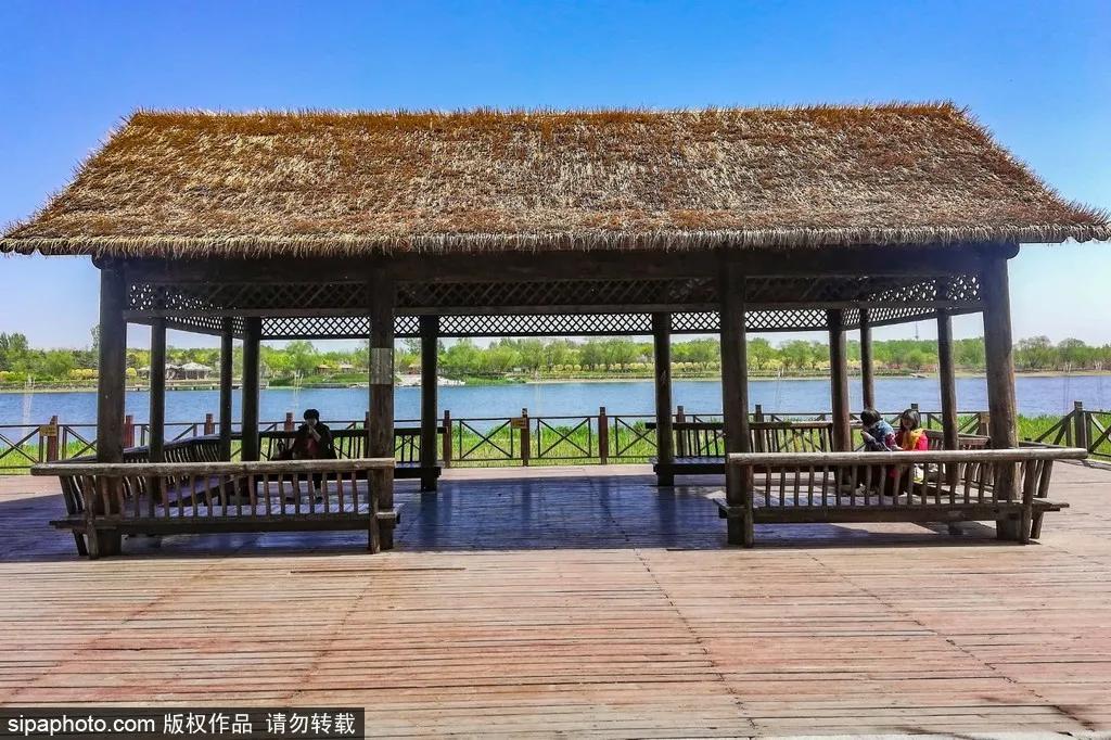 部分免费！北京赏秋“性价比”最高选择都在这儿了！