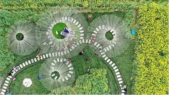 公园项目的正确玩法,公园玩法攻略