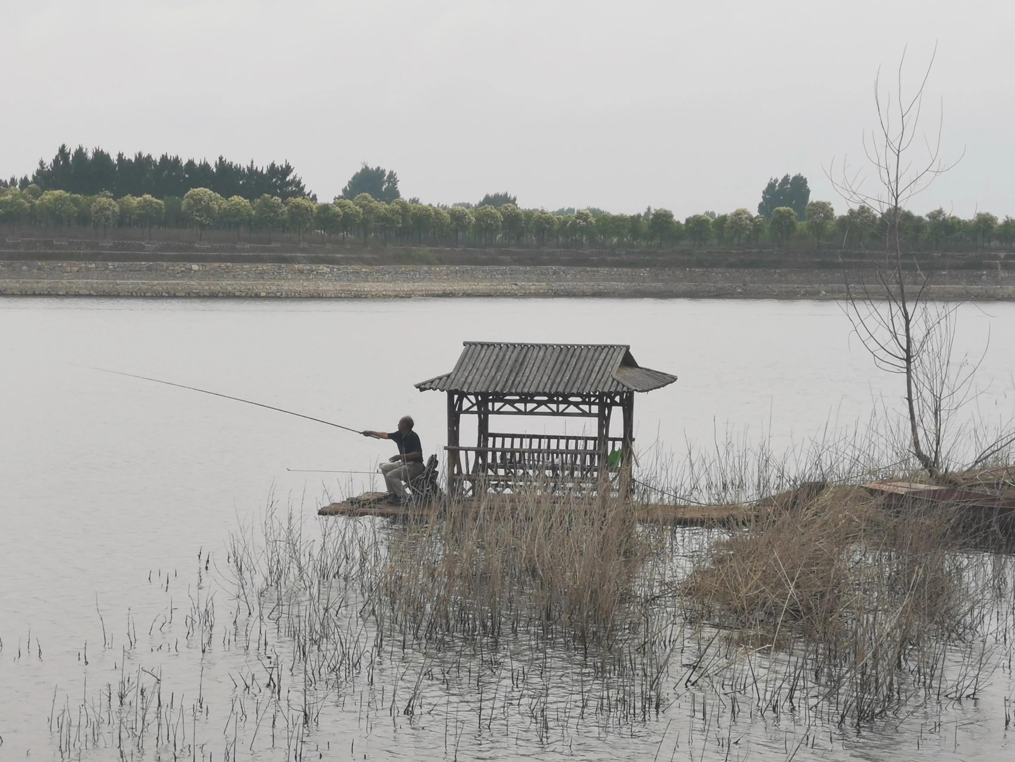 手拍世界手机摄影平台,手拍世界摄影交流平台