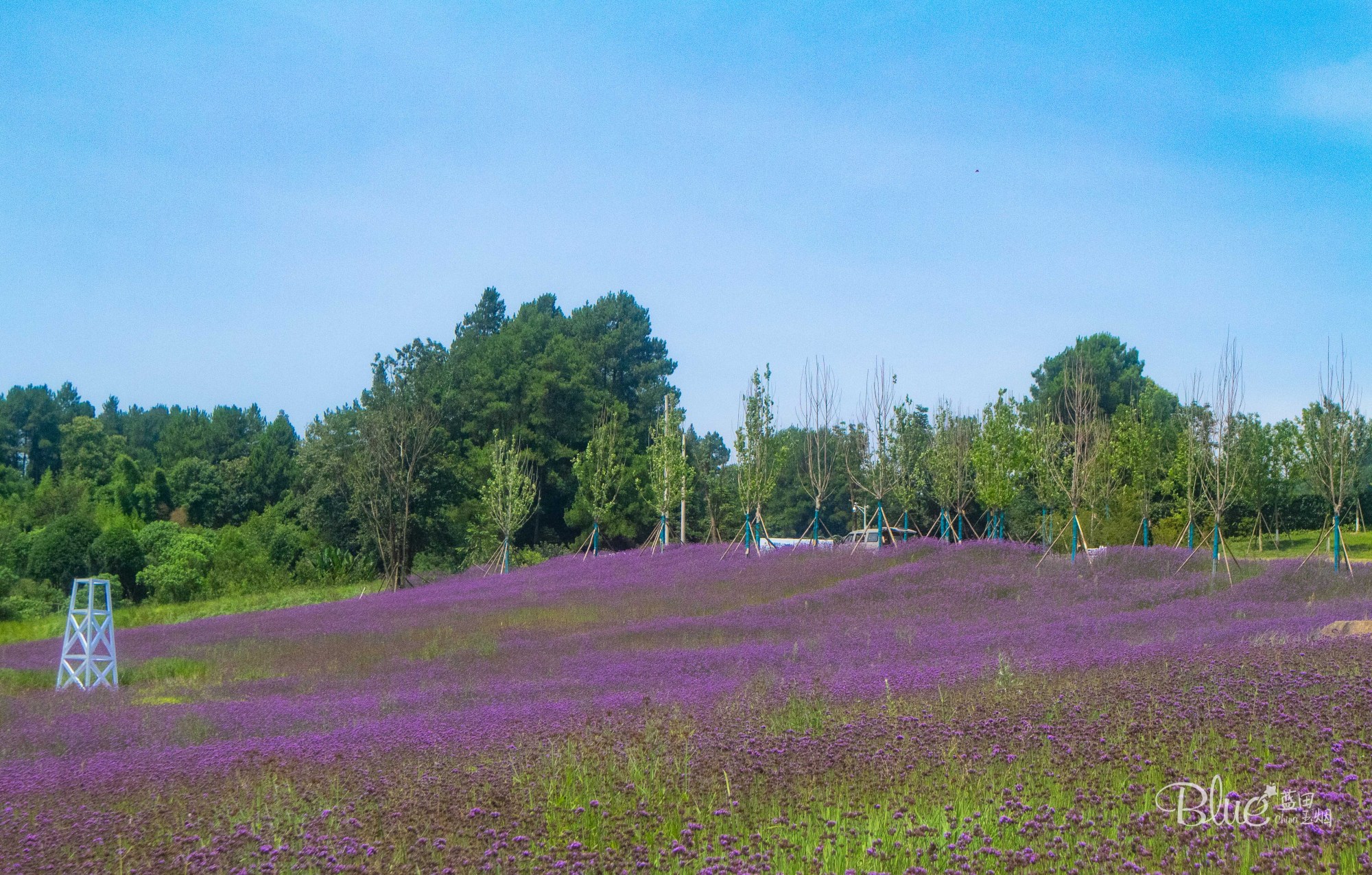 綦江横山花仙谷全景,重庆綦江看花景点推荐