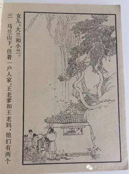 马兰花童年,马兰花童年故事