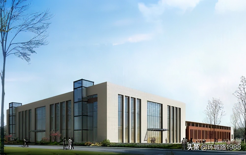 未来可期！向你展现不一样的毛陈