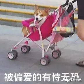 新注册微信测试男朋友被套路,新建个小号怎么试探男朋友