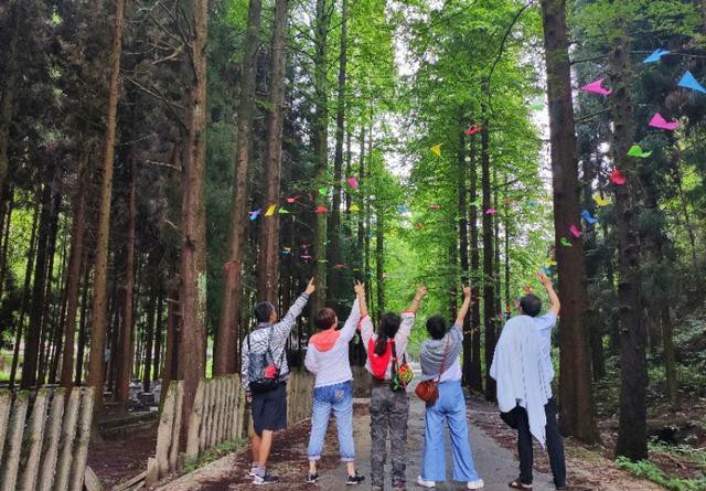 华蓥仰天窝，扎营不错的选择，约不？