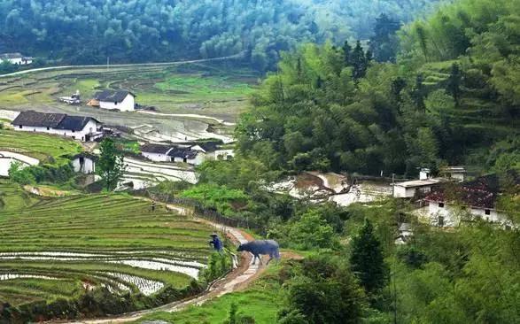 城市人的生活vs农村人的生活,农村人的田园生活是充实的