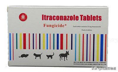 猫癣是怎么形成的猫癣有什么症状,猫癣为什么一直好不了