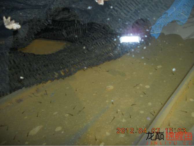 开渔场赚钱吗,开渔场需要多少资金