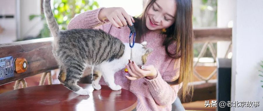 北京姑娘好不好娶,北京姑娘容易娶吗