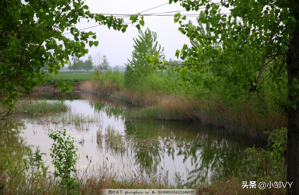 钓黄鳝的方法与注意事项,掌握四种钓法