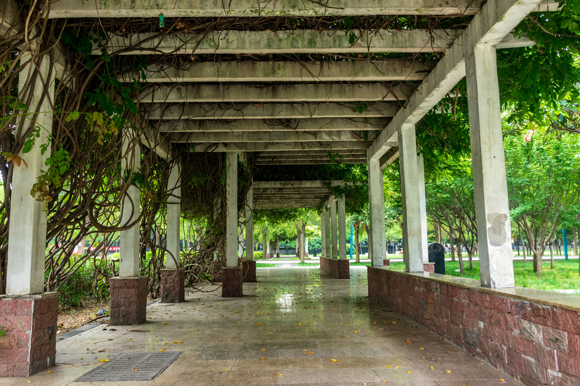 遂平县奥林匹克公园,遂平奥林匹克广场启智梦乐园