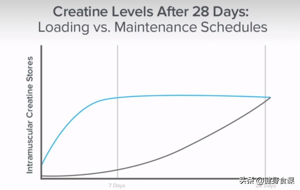 健身肌肉训练何时食用蛋白粉,肌肉男喝蛋白粉还是增肌粉