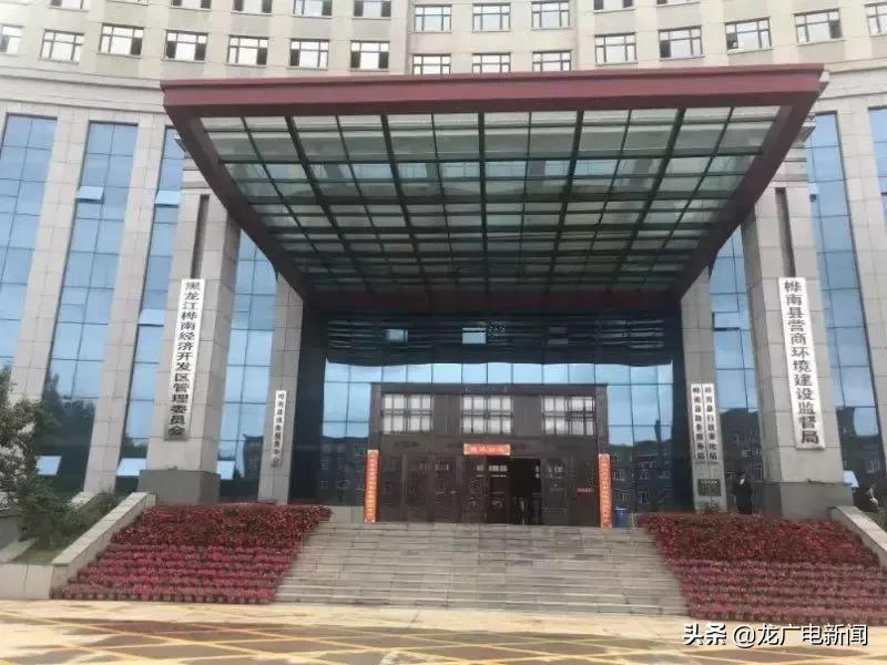 全县优化营商环境重点工作,林业局优化营商环境典型做法