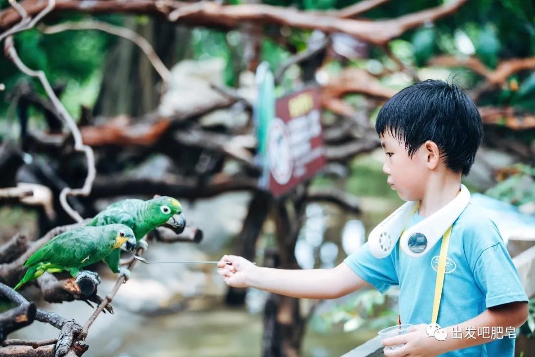 长隆飞鸟乐园怎么去长隆欢乐世界,汉溪长隆地铁站去长隆飞鸟乐园