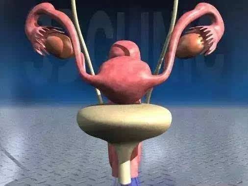 女性绝经后会迅速衰老和肥胖吗,女性绝经早会加速衰老吗