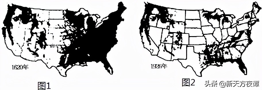 国家植树造林,世界植树造林国家排行榜